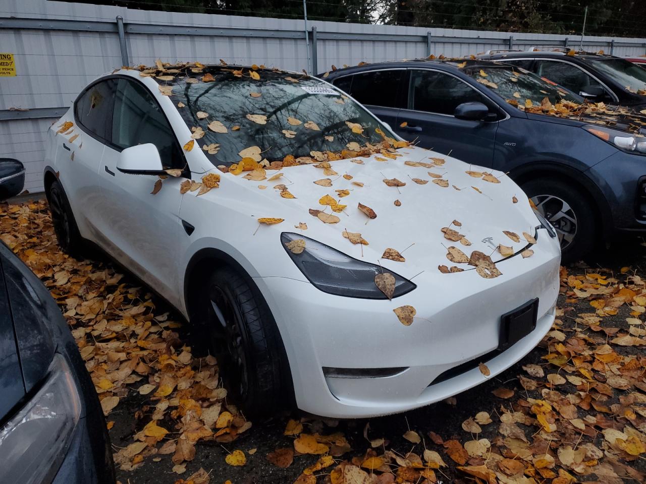 2024 TESLA MODEL Y — снимка 4