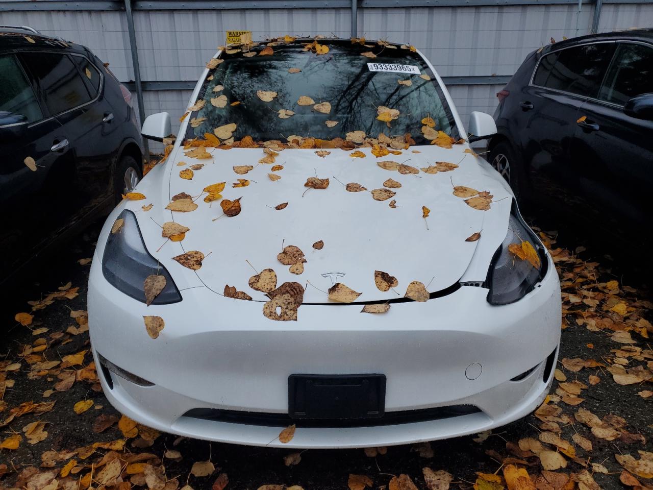 2024 TESLA MODEL Y — снимка 5