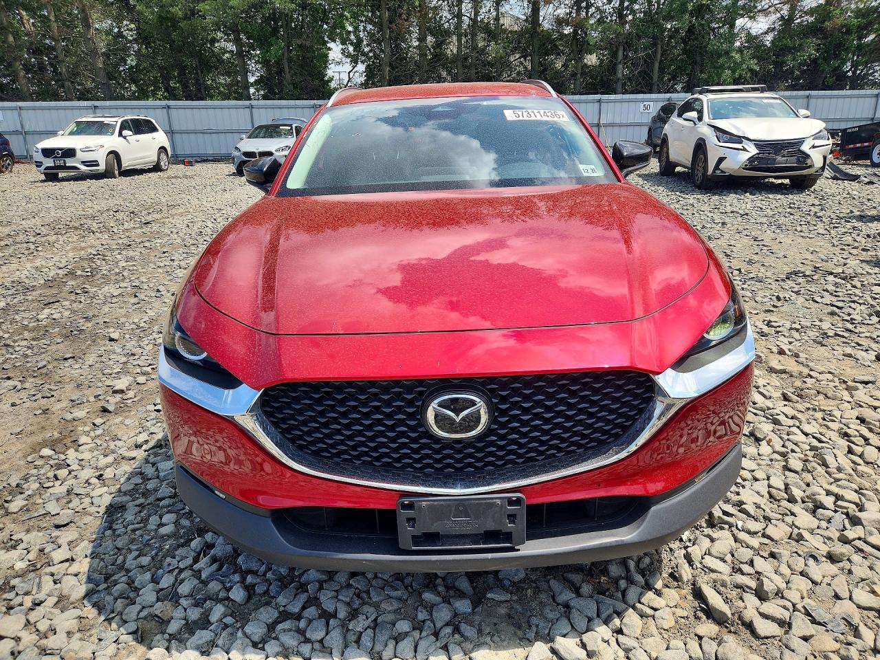 2024 MAZDA CX-30 SELECT — снимка 5