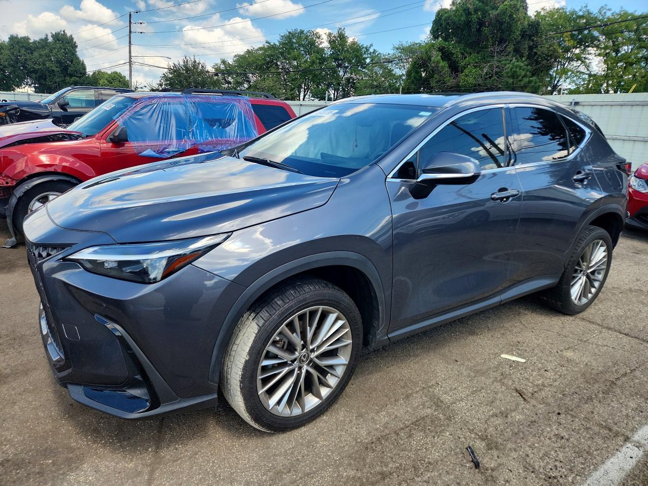 2022 LEXUS NX 350