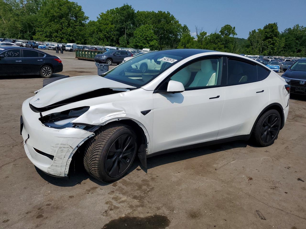 2025 TESLA MODEL Y