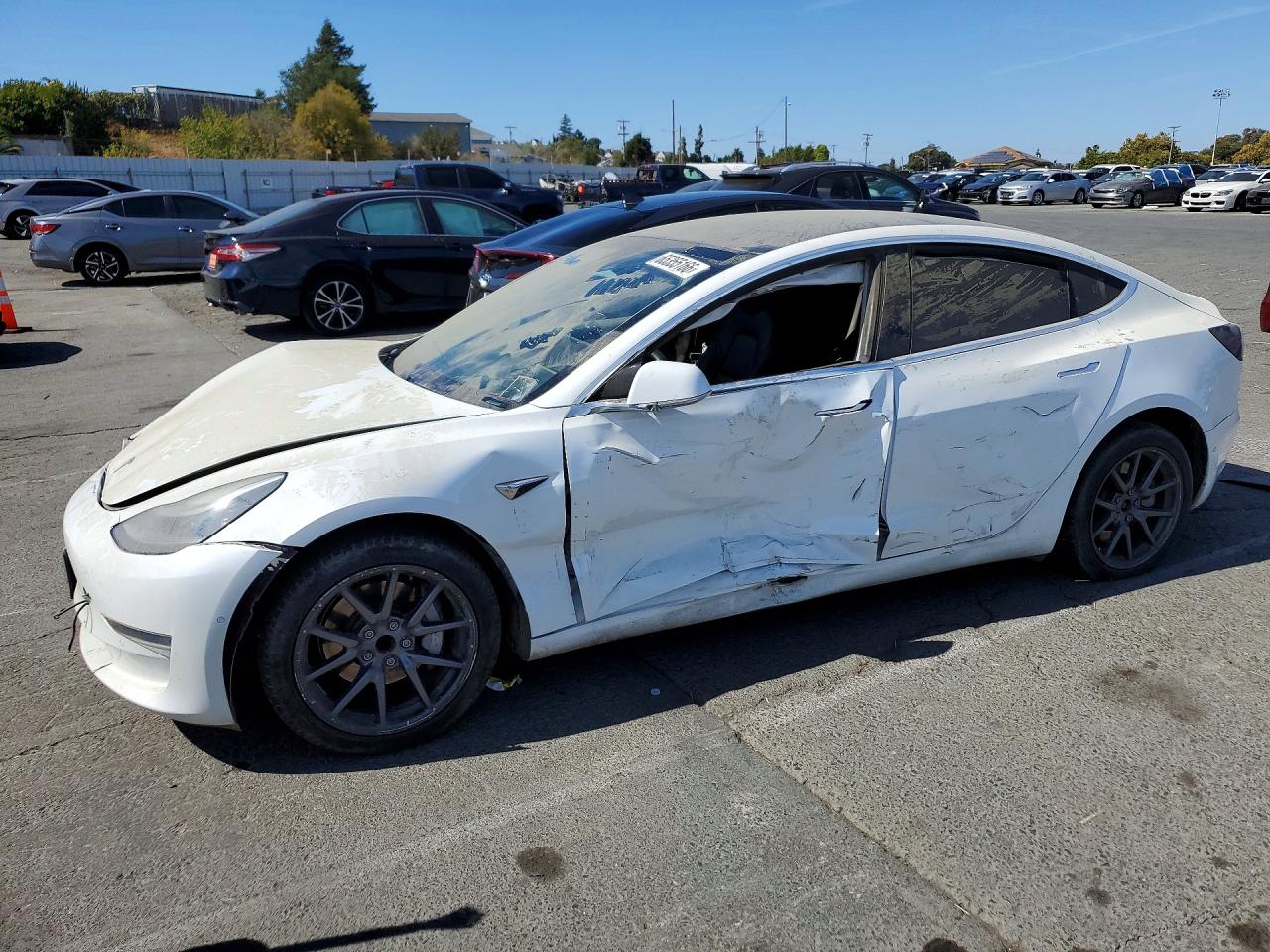 2019 TESLA MODEL 3
