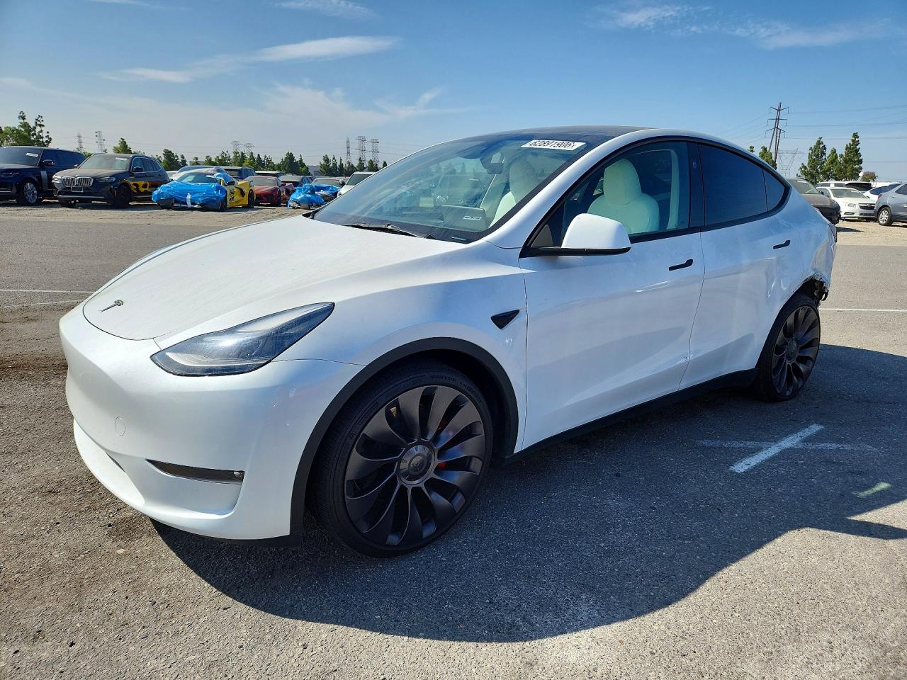 2024 TESLA MODEL Y