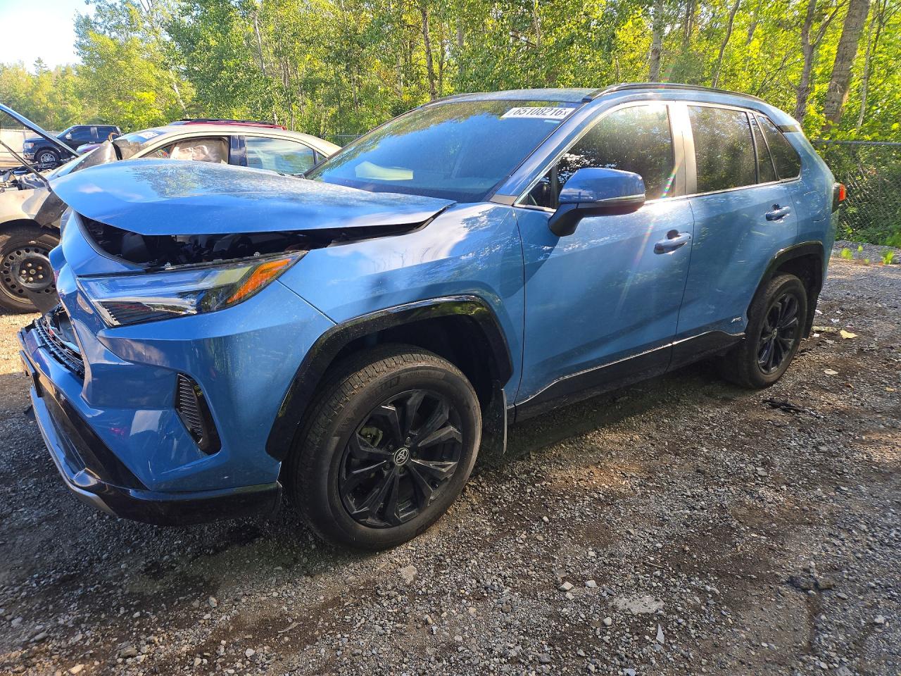 2025 TOYOTA RAV4 SE