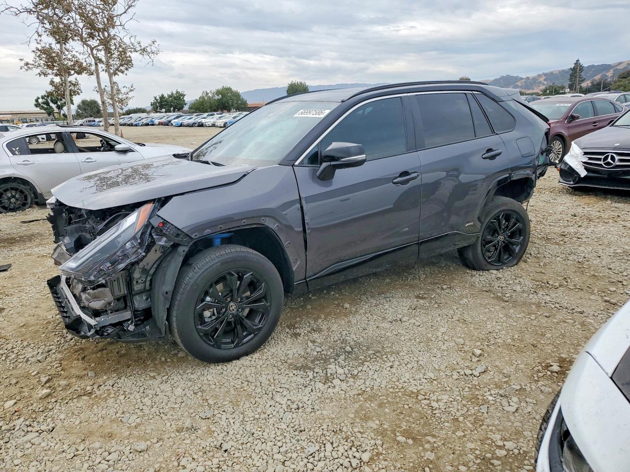 2025 TOYOTA RAV4 XSE