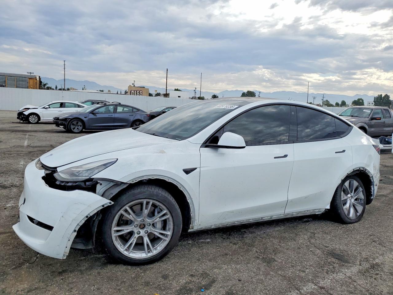 2023 TESLA MODEL Y
