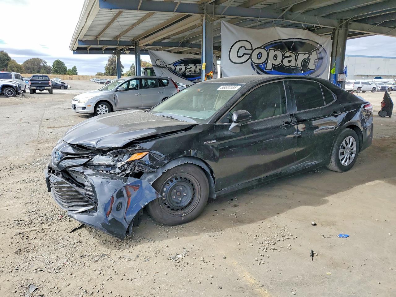 2019 TOYOTA CAMRY LE