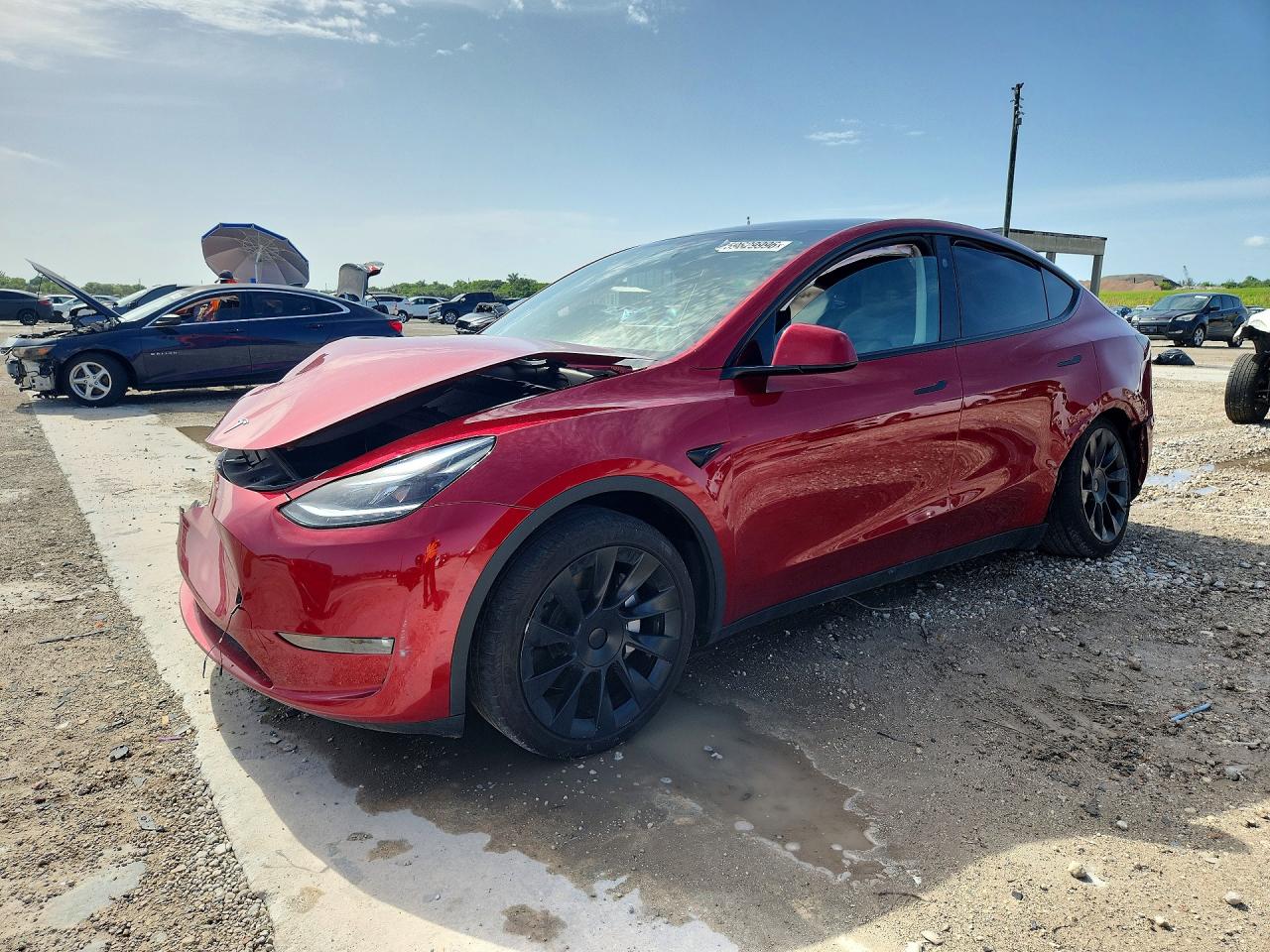 2024 TESLA MODEL Y