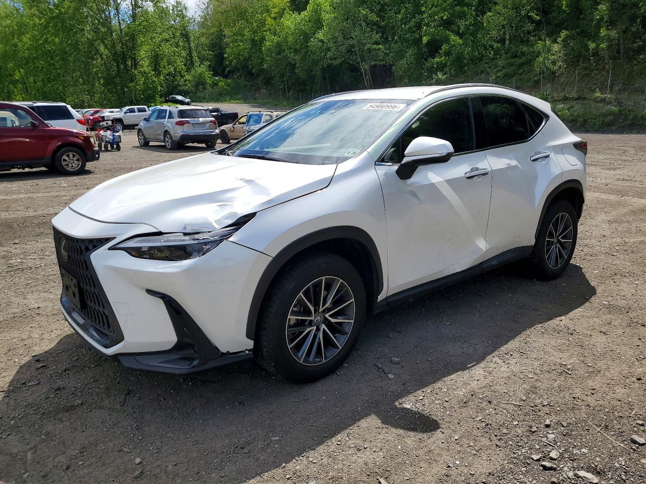 2023 LEXUS NX 250