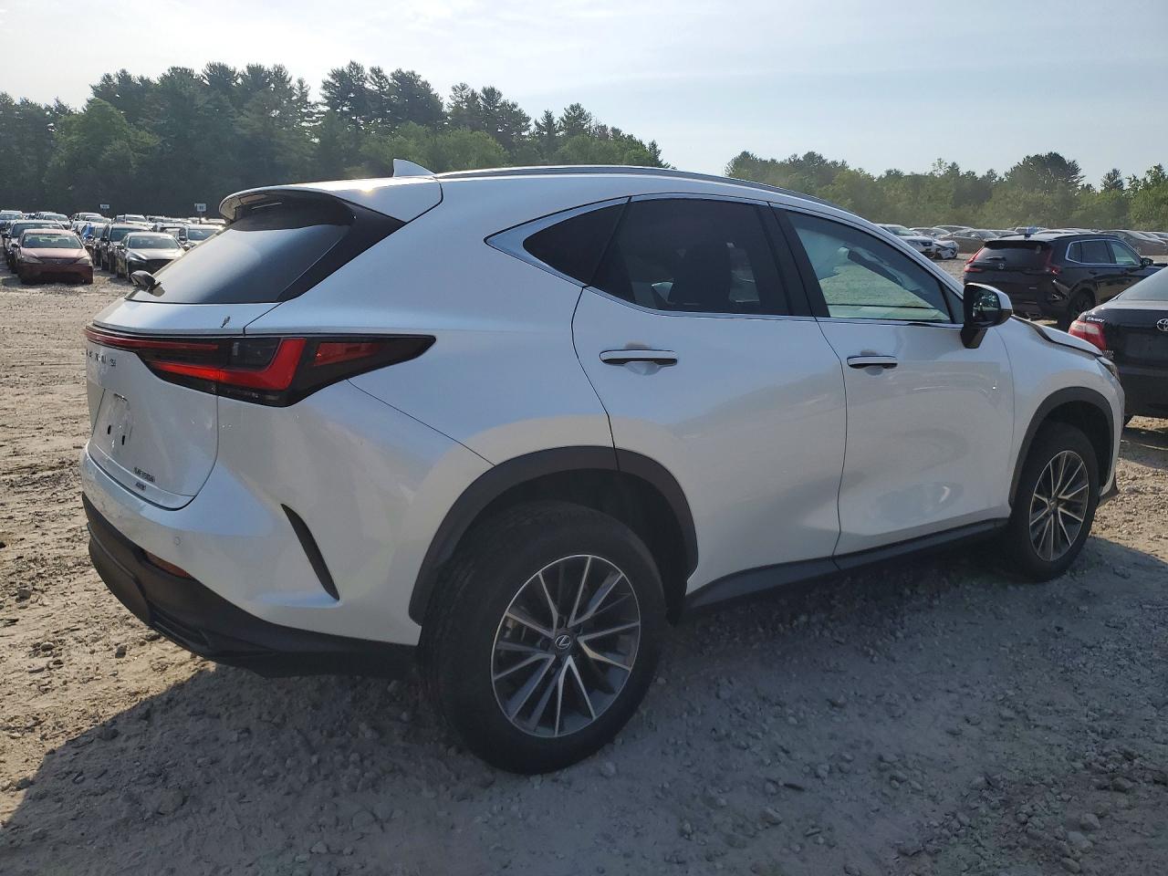 2024 LEXUS NX 350H PREMIUM — снимка 3