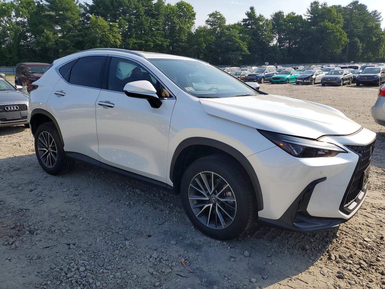 2024 LEXUS NX 350H PREMIUM — снимка 4