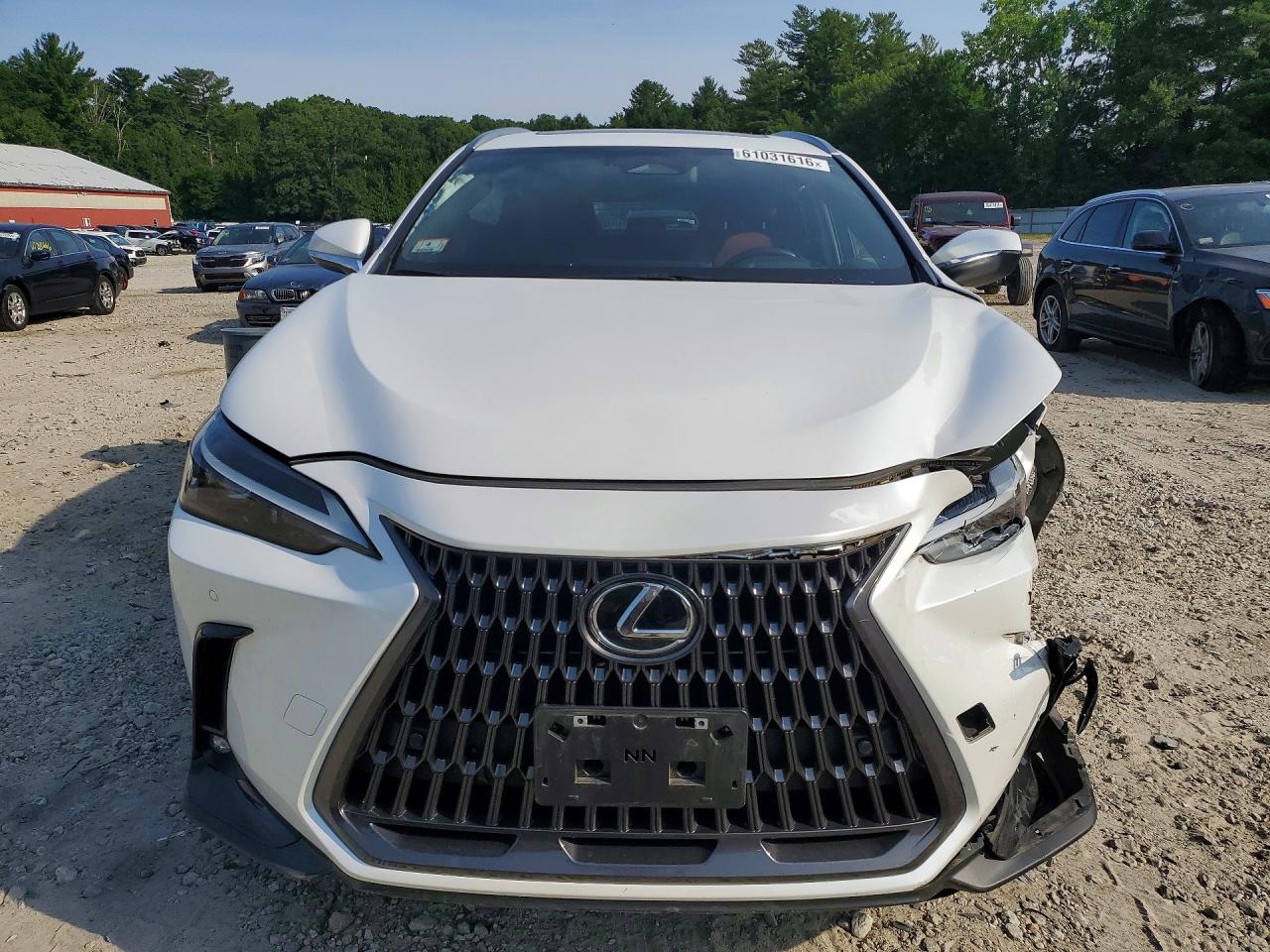 2024 LEXUS NX 350H PREMIUM — снимка 5