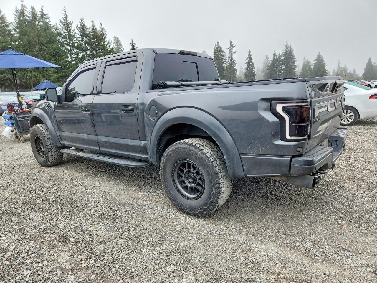 2019 FORD F150 RAPTOR — снимка 2