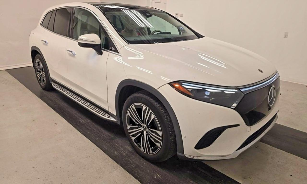 2023 MERCEDES-BENZ EQS SUV 450+