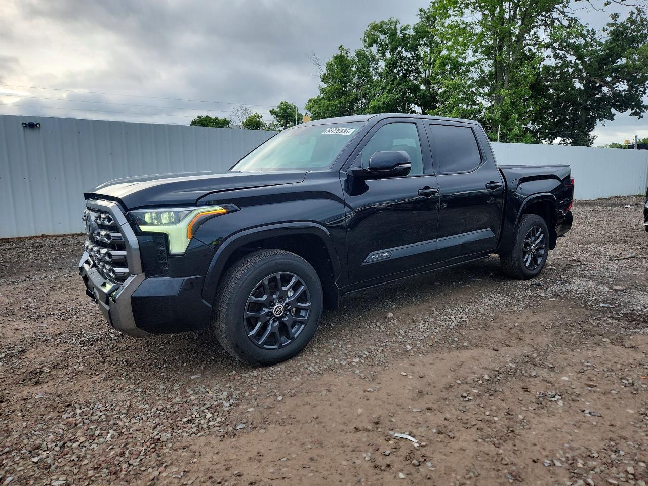 2024 TOYOTA TUNDRA PLATINUM