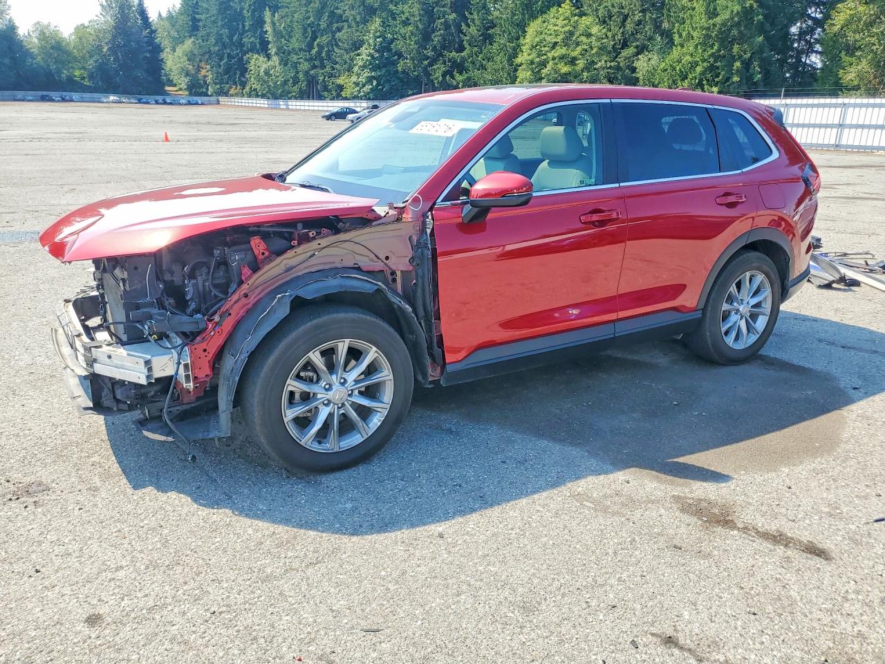 2024 HONDA CR-V EXL