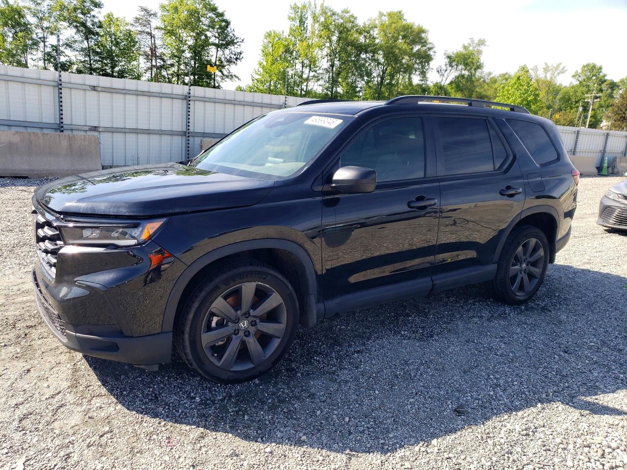 2025 HONDA PILOT SPORT