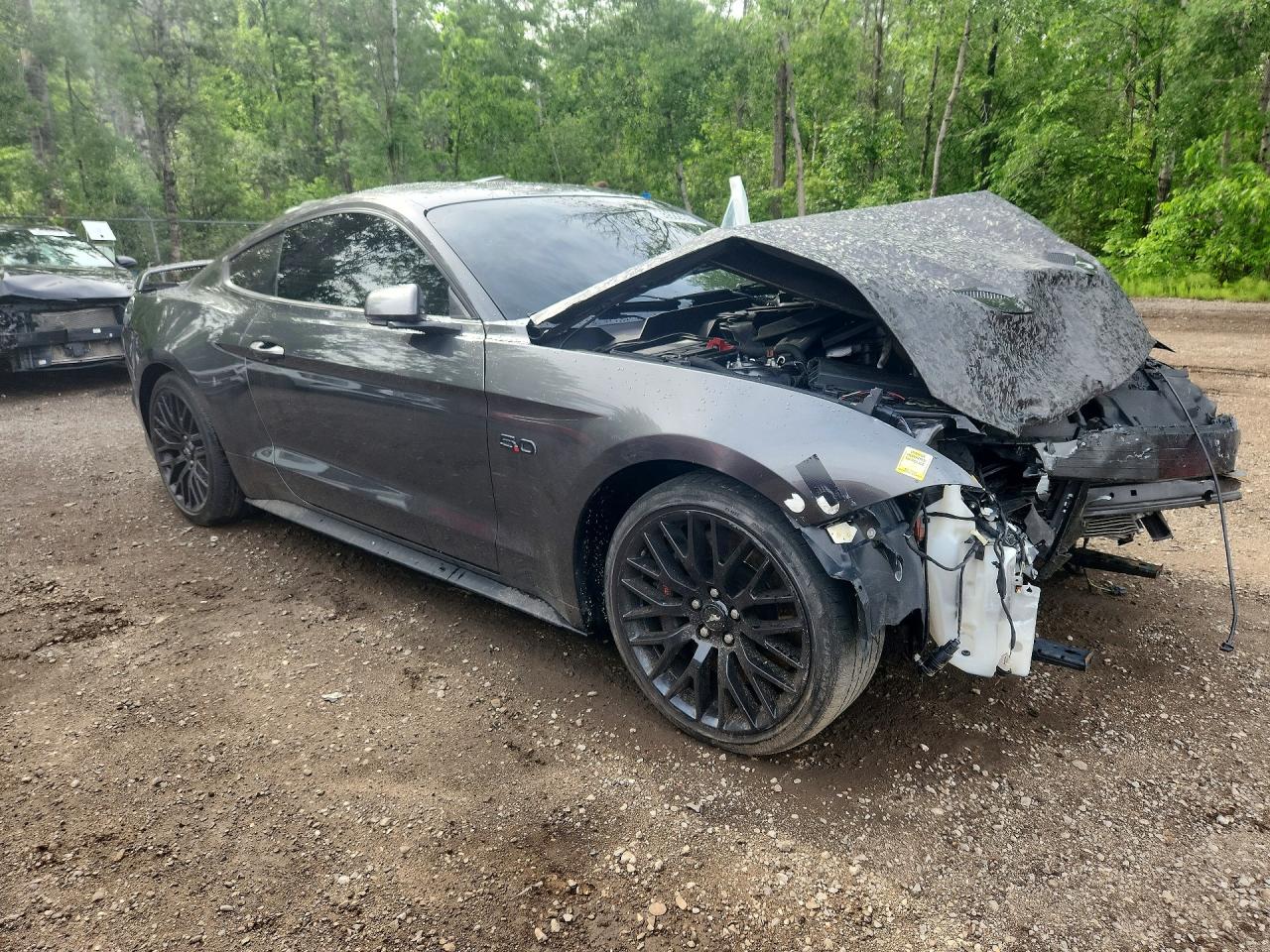 2018 FORD MUSTANG GT — снимка 4
