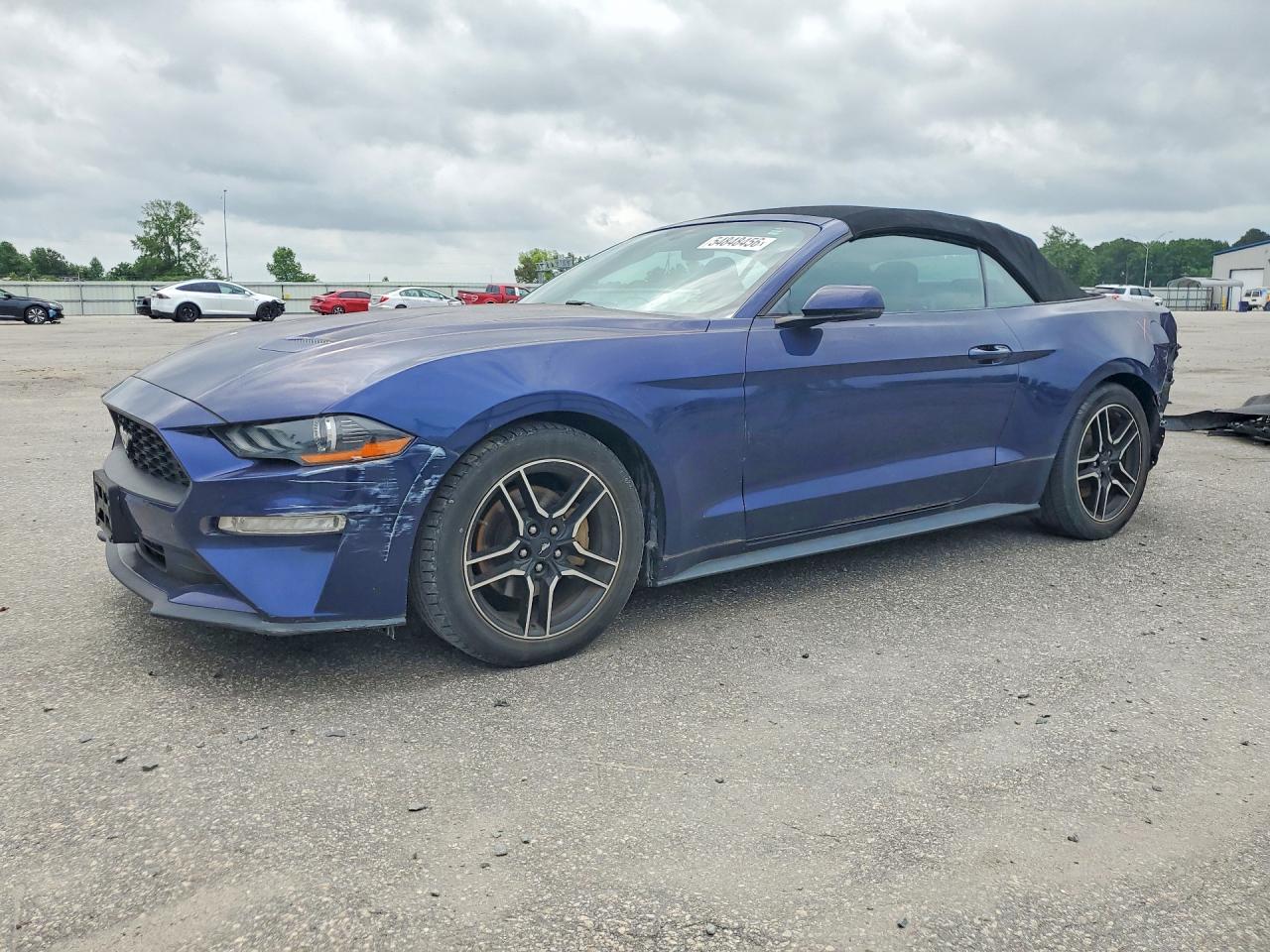 2019 FORD MUSTANG