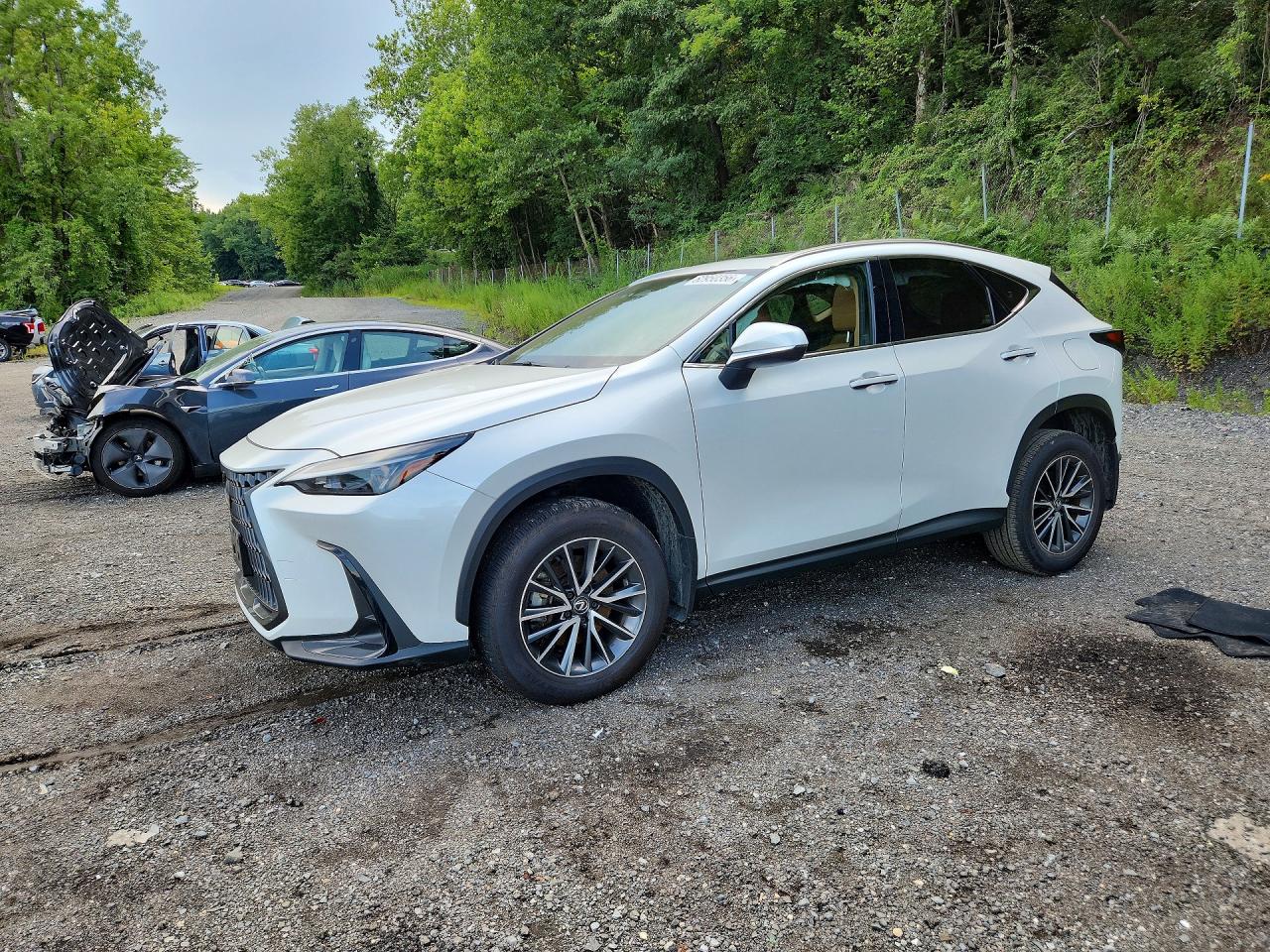 2024 LEXUS NX 350 BASE