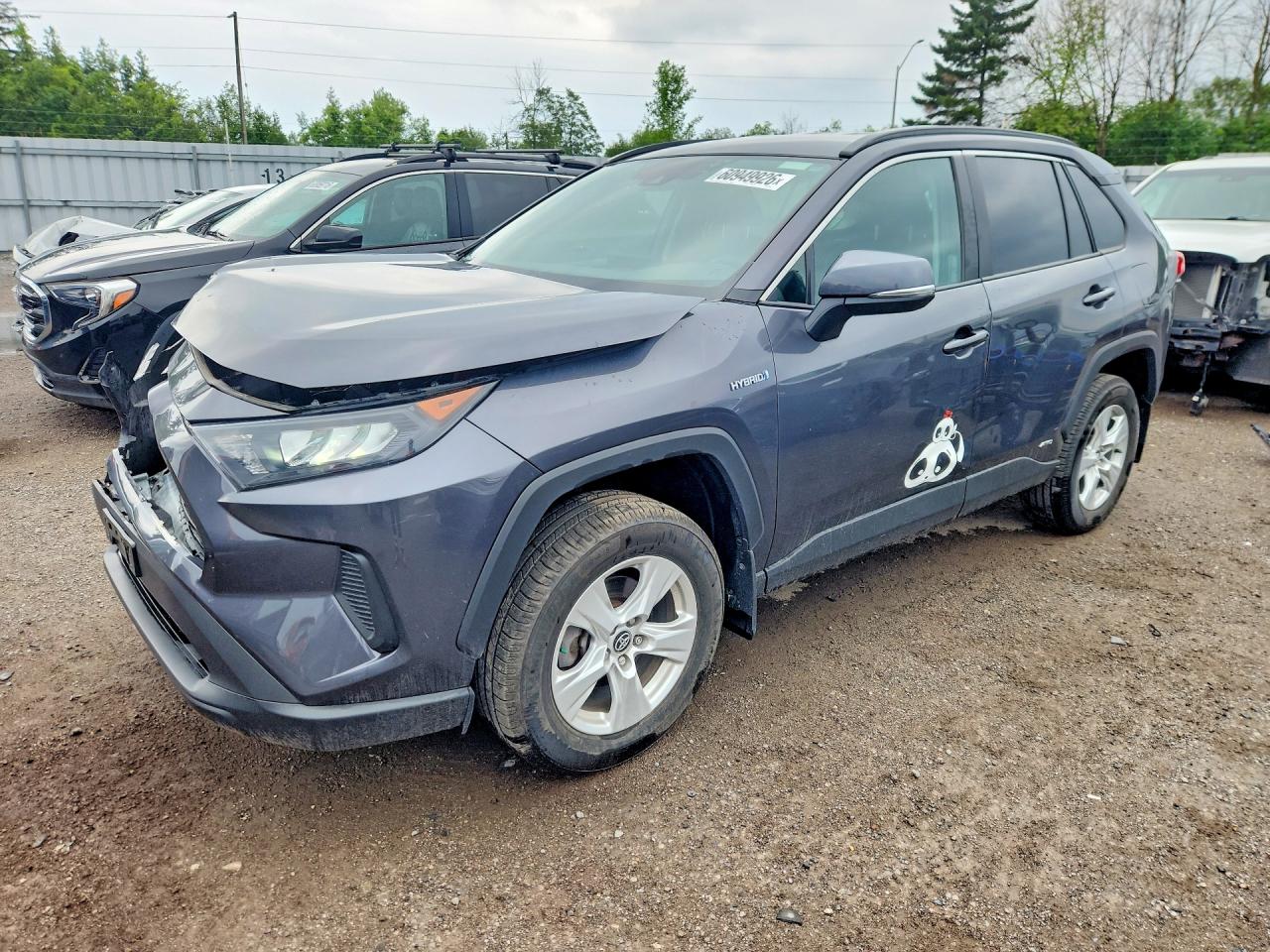 2019 TOYOTA RAV4 LE