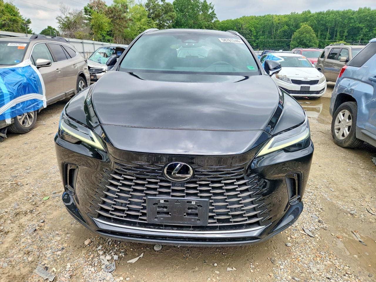 2024 LEXUS RX 350 LUXURY — снимка 5