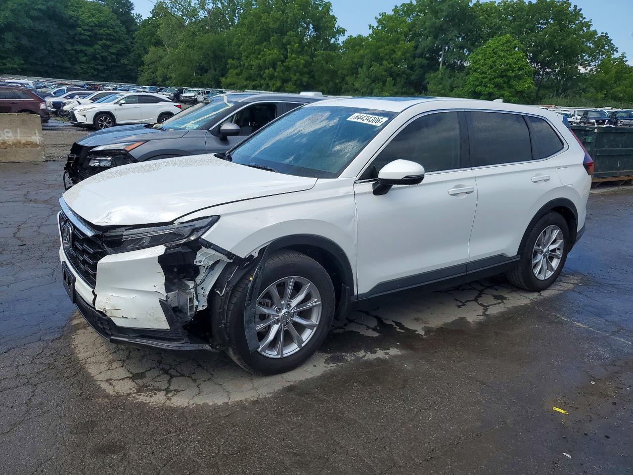 2025 HONDA CR-V EXL