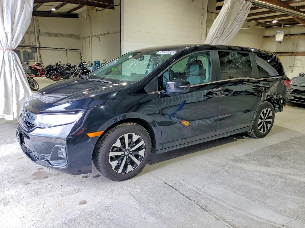 2025 HONDA ODYSSEY EXL