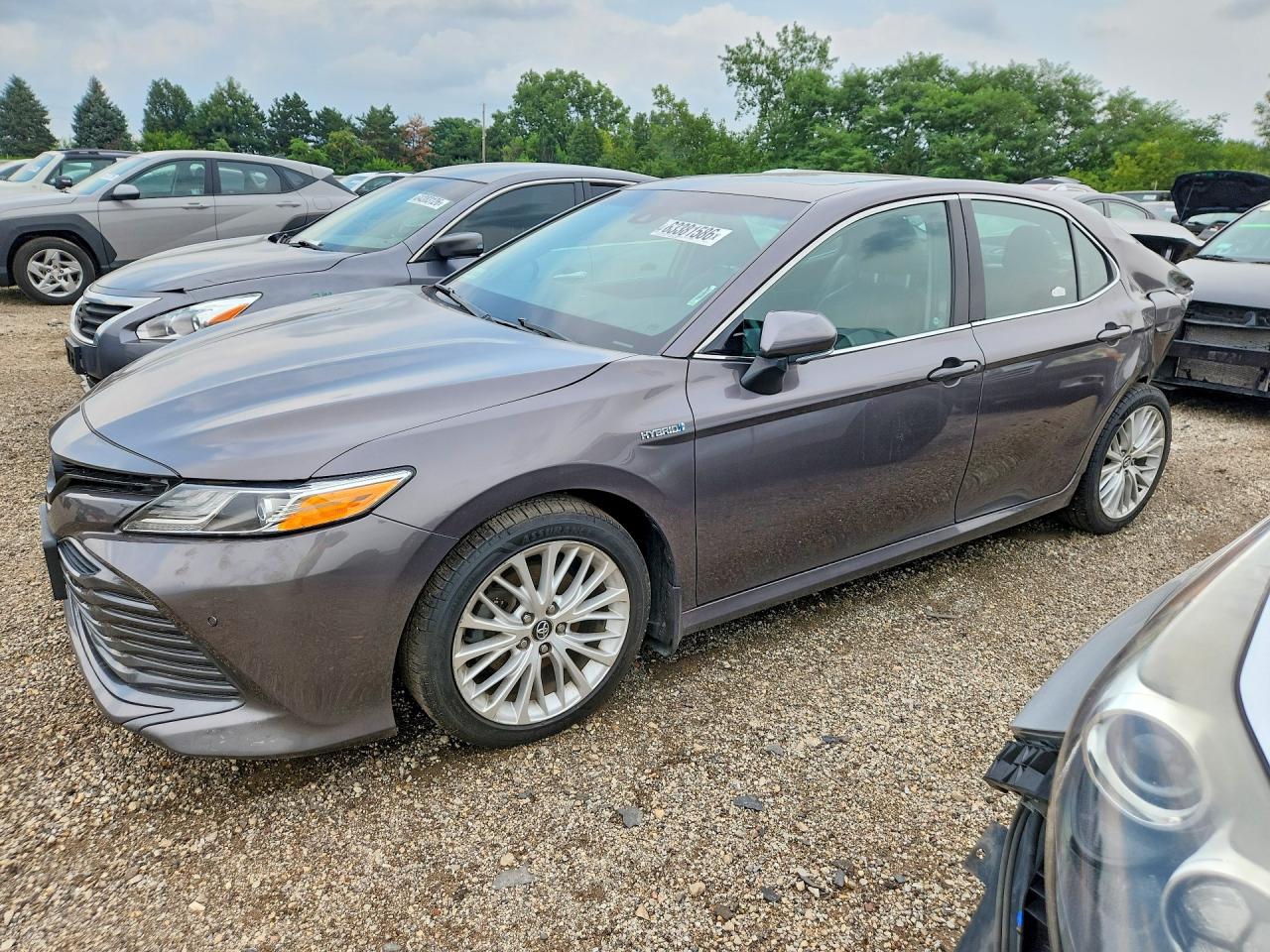 2020 TOYOTA CAMRY XLE