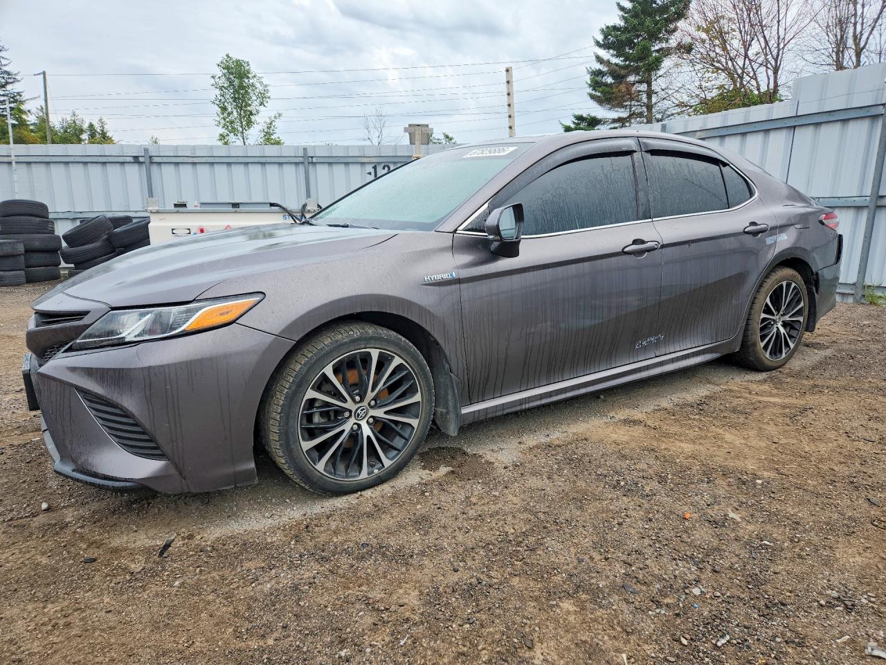 2019 TOYOTA CAMRY HYBRID
