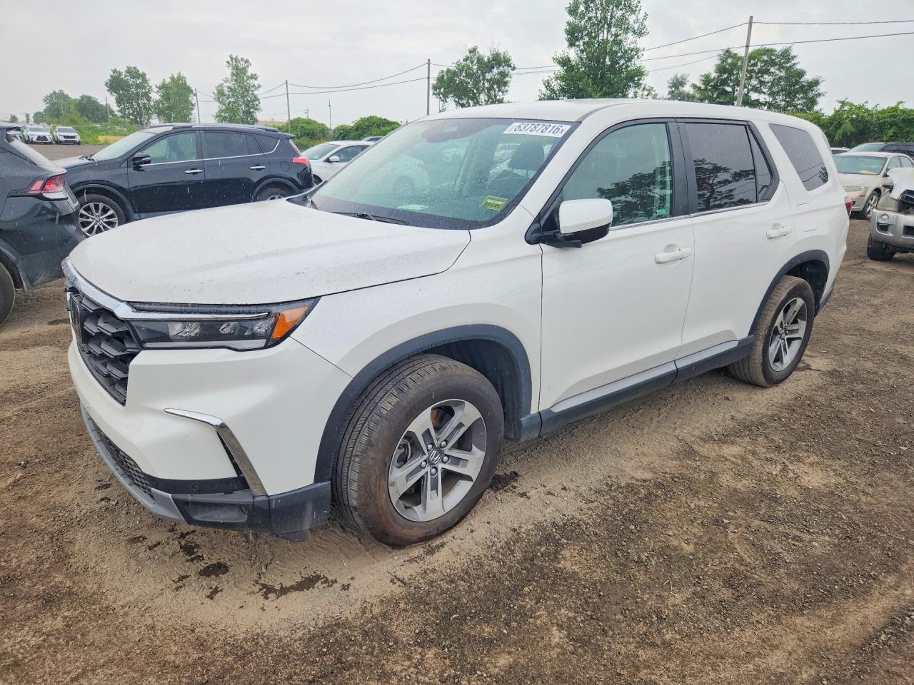 2025 HONDA PILOT EXL