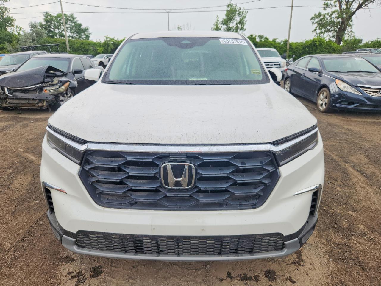 2025 HONDA PILOT EXL — снимка 5