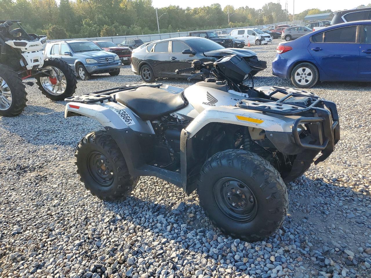 2024 HONDA TRX700