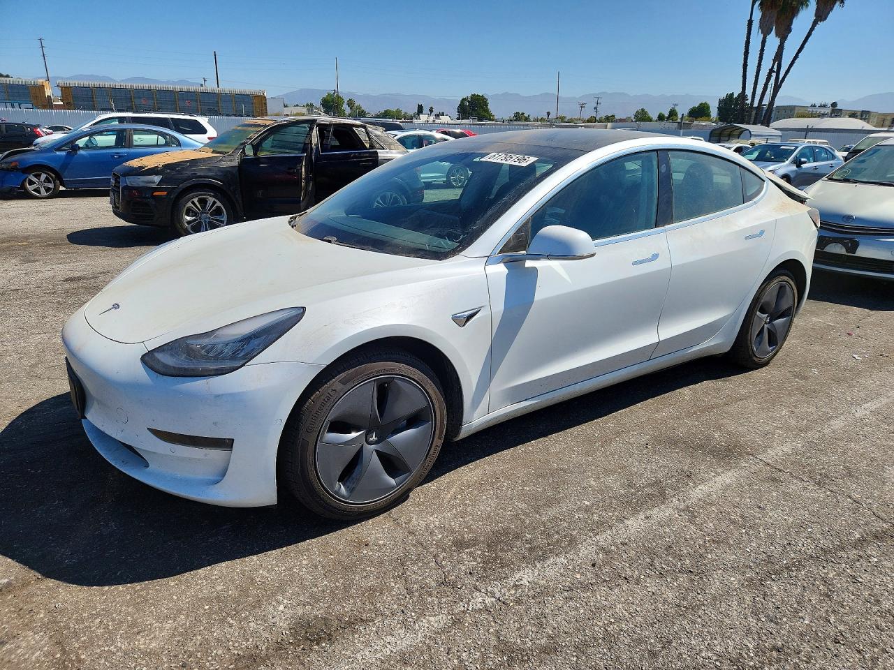 2019 TESLA MODEL 3