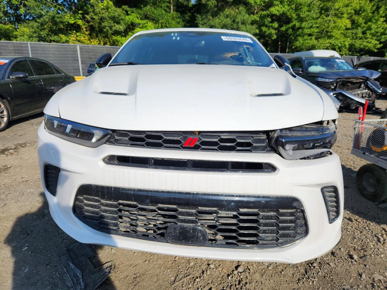 2024 DODGE HORNET R — снимка 5