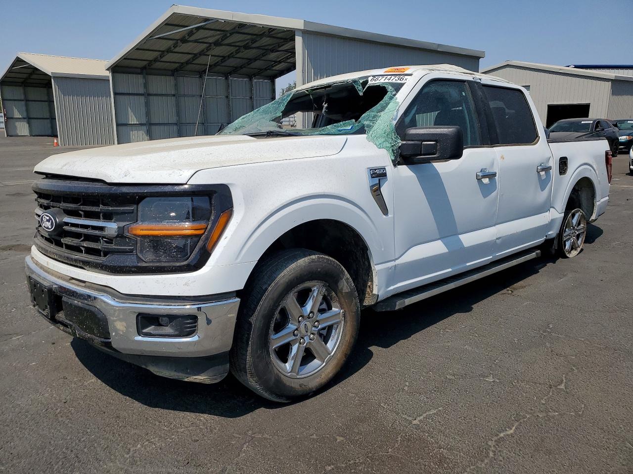 2025 FORD F150 XLT