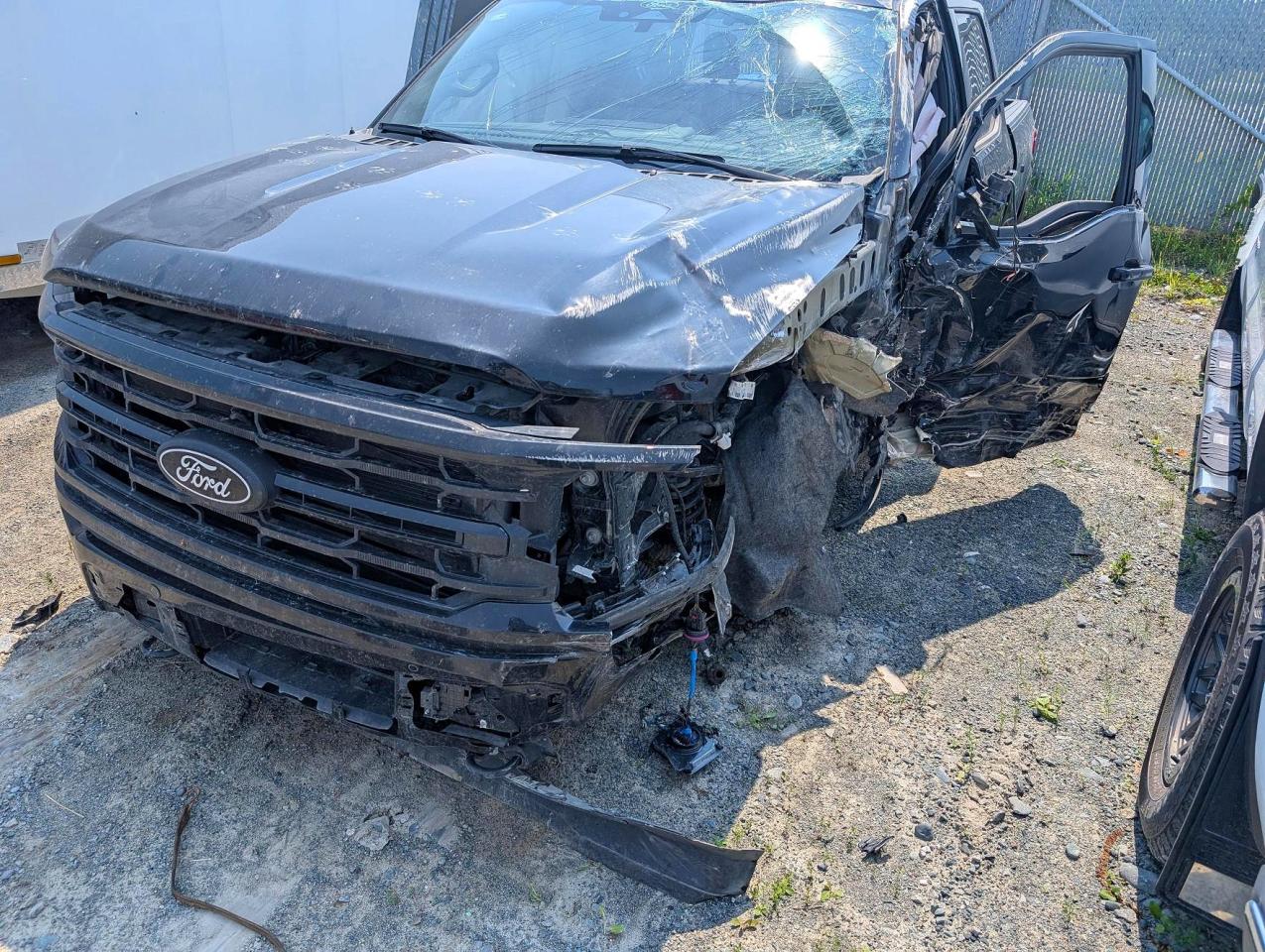 2025 FORD F150 XLT
