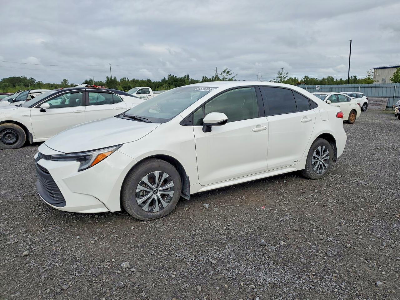 2025 TOYOTA COROLLA HYBRID LE