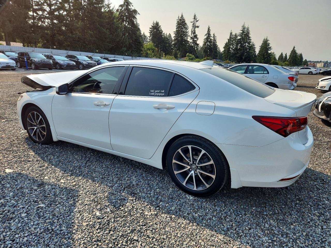 2015 ACURA TLX TECH — снимка 2