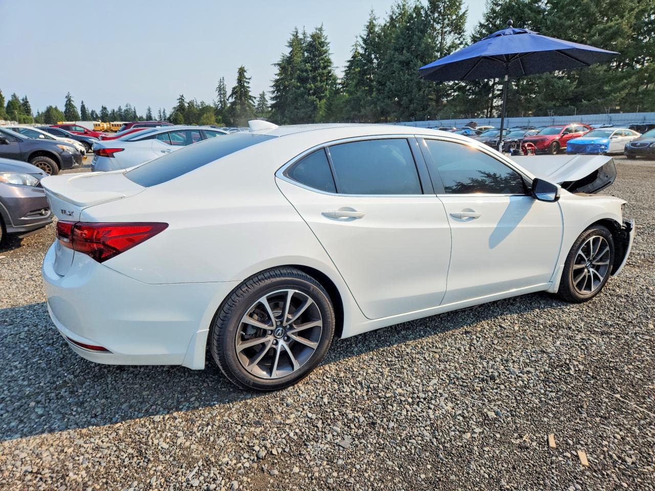 2015 ACURA TLX TECH — снимка 3