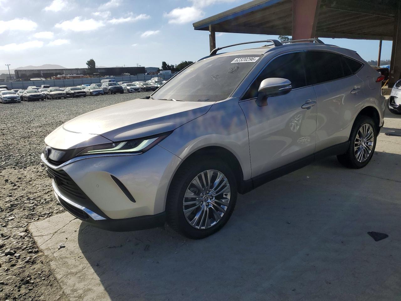 2024 TOYOTA VENZA XLE