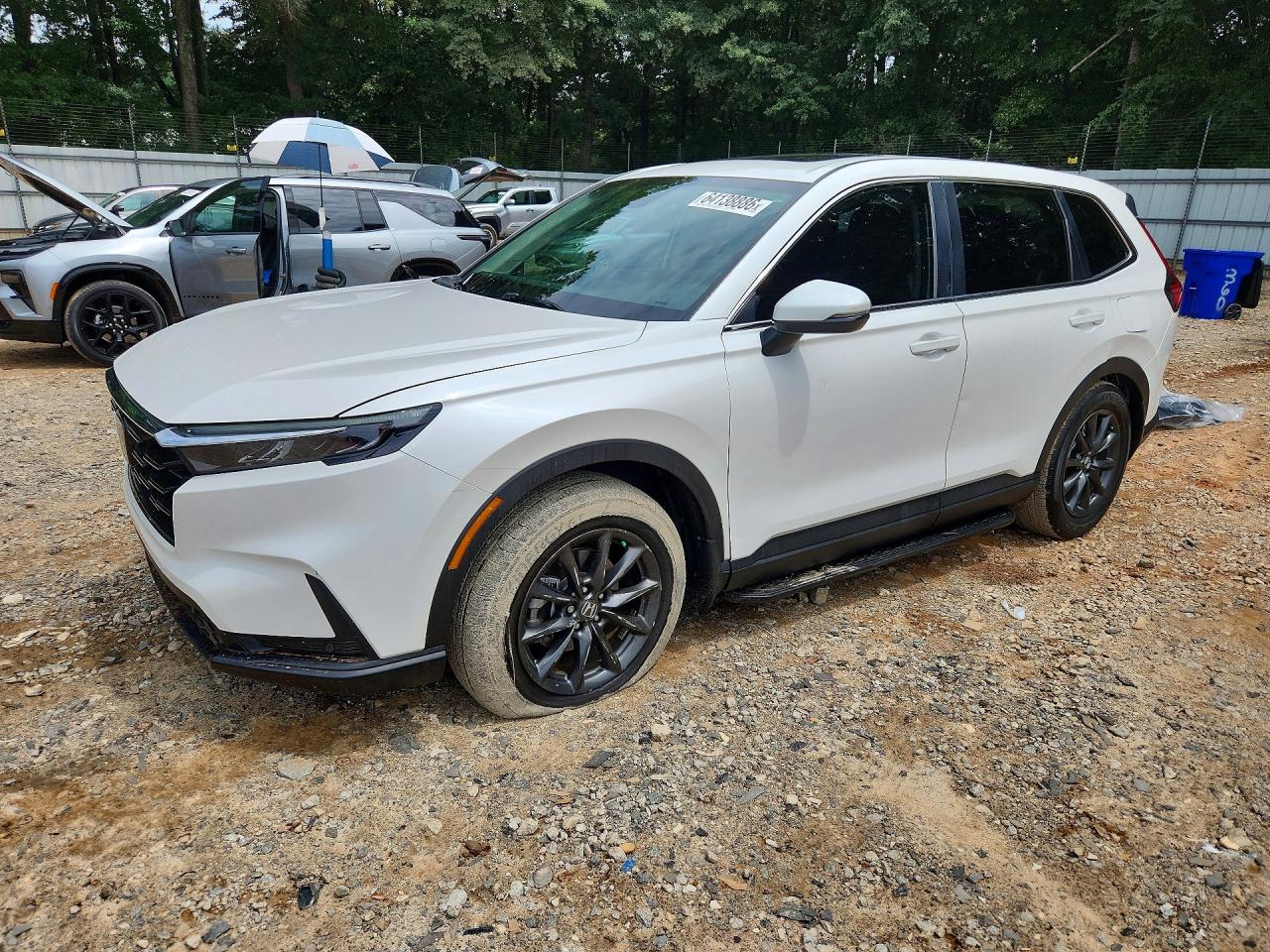 2026 HONDA CR-V EXL
