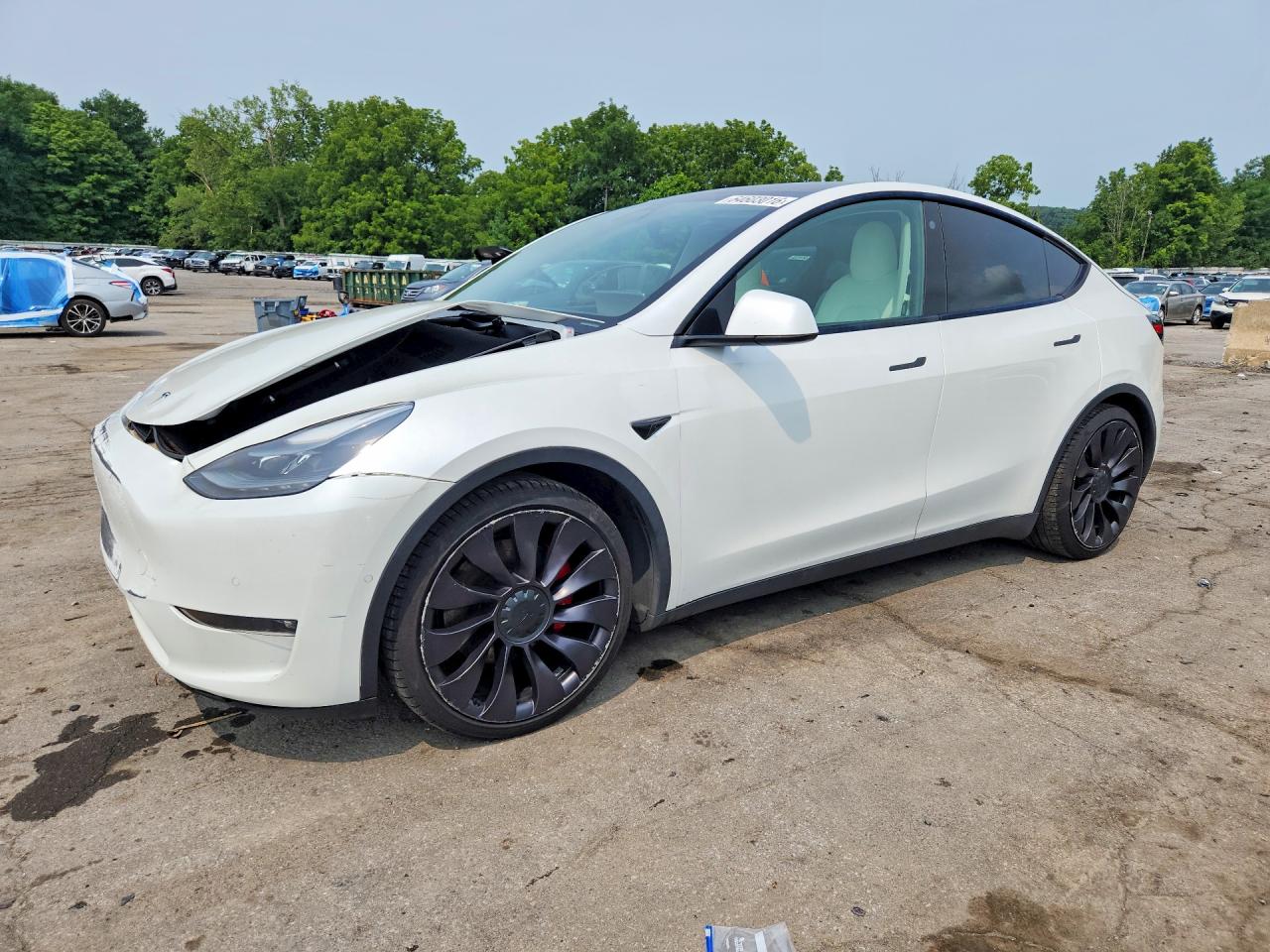 2021 TESLA MODEL Y