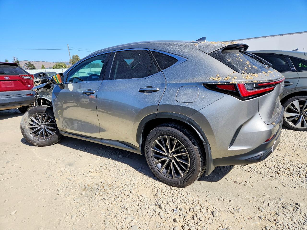 2024 LEXUS NX 250 BASE — снимка 2
