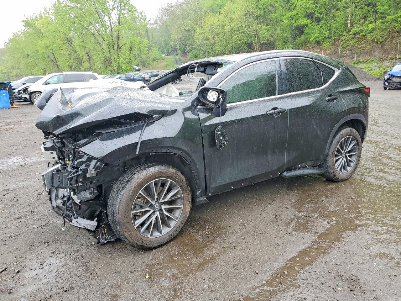 2025 LEXUS NX 350 PREMIUM