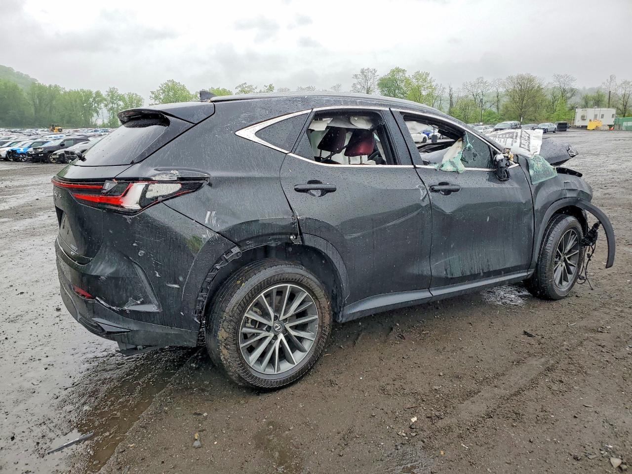 2025 LEXUS NX 350 PREMIUM — снимка 3