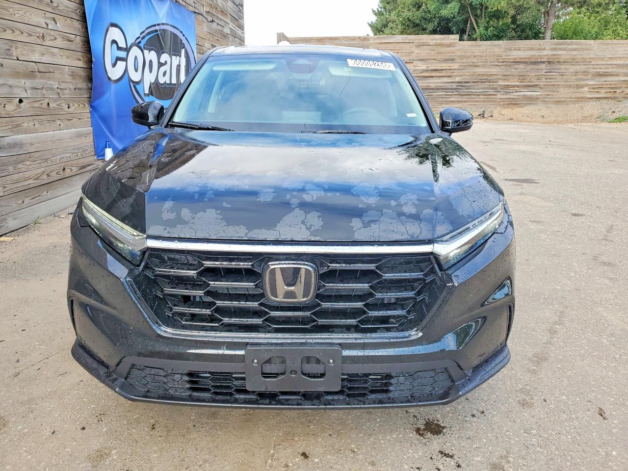 2026 HONDA CR-V EXL — снимка 5