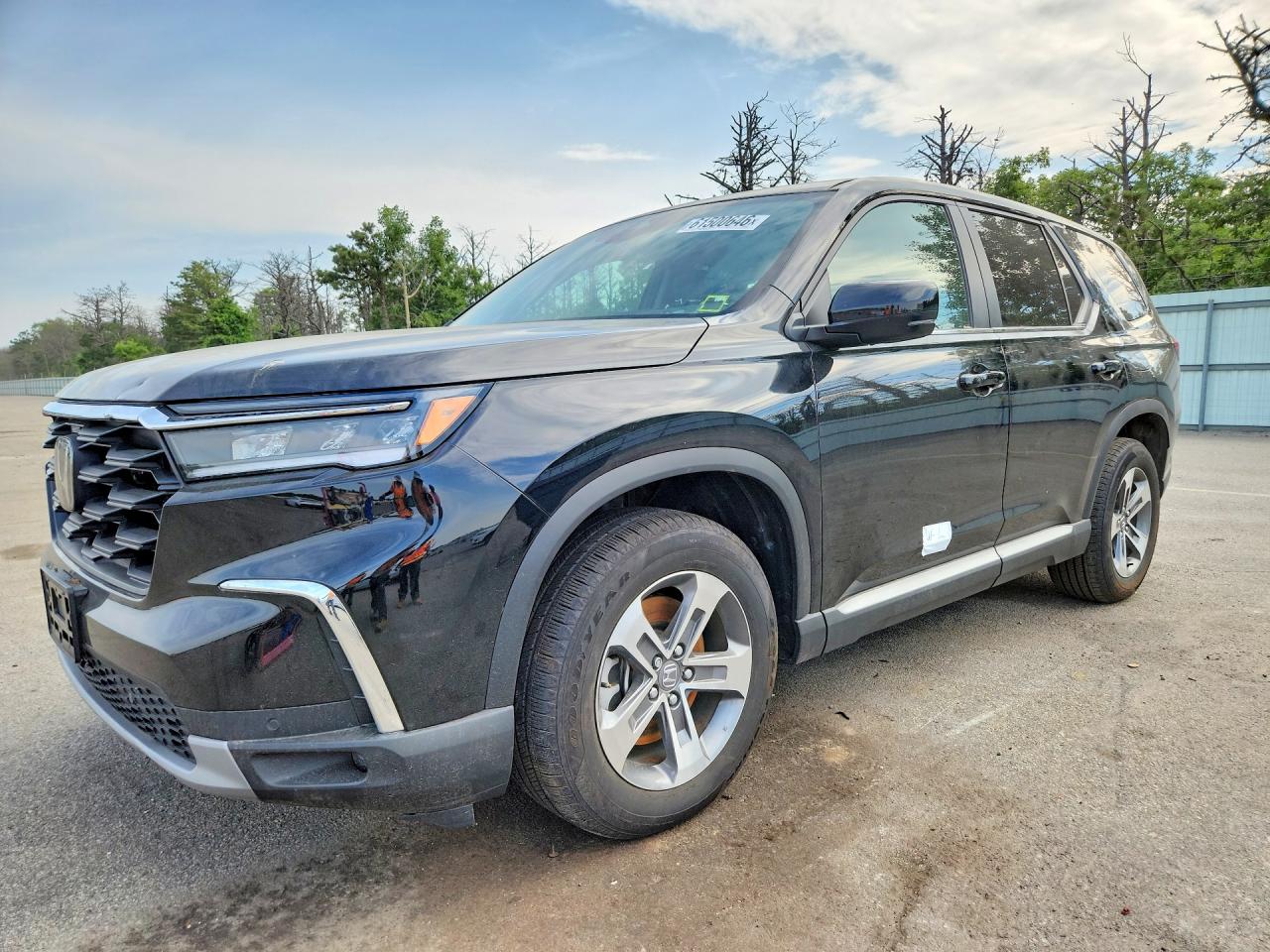 2025 HONDA PILOT EXL