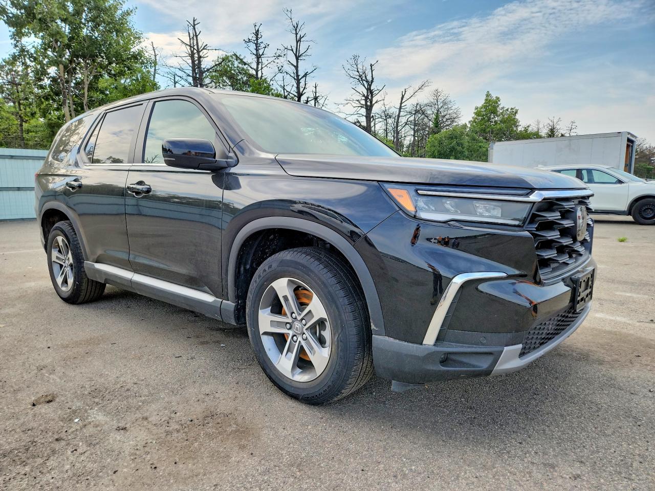 2025 HONDA PILOT EXL — снимка 4