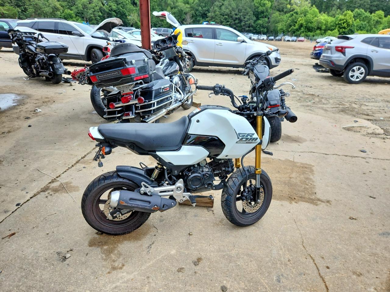2026 HONDA GROM 125